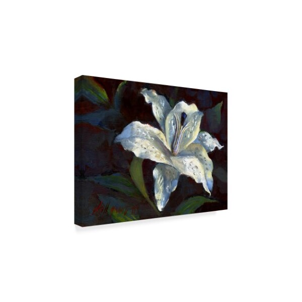 Hall Groat Ii 'White Lily Dark' Canvas Art,35x47